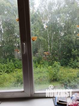 2-к квартира, вторичка, 49м2, 2/5 этаж