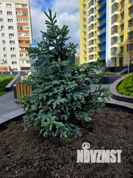 2-к квартира, вторичка, 65м2, 18/24 этаж